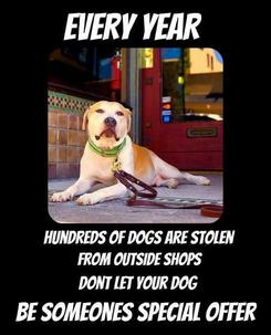 Dog Theft